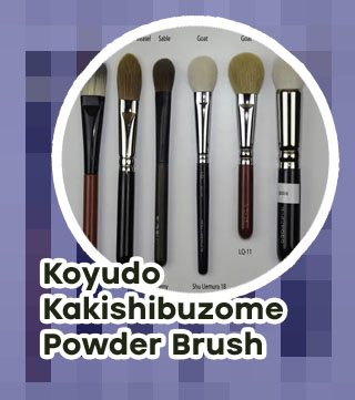 Pressed powder brush
