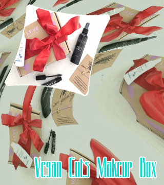 Vegan makeup subscription box